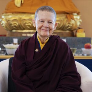 pema-chodron-arctiles-1