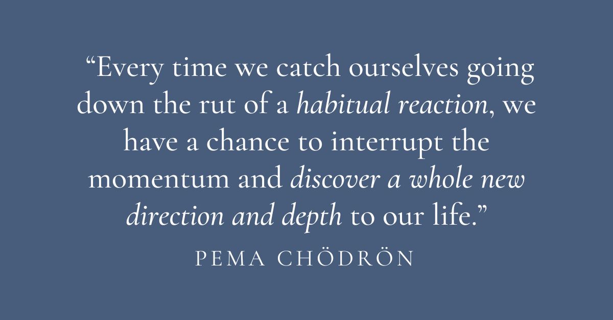 xr:d:DAGB8RZmJAs:9,j:593773599788032969,t:24040917