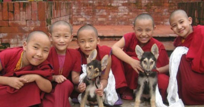 xr:d:DAGB2x6cSTY:14,j:3997369131912361301,t:24041019