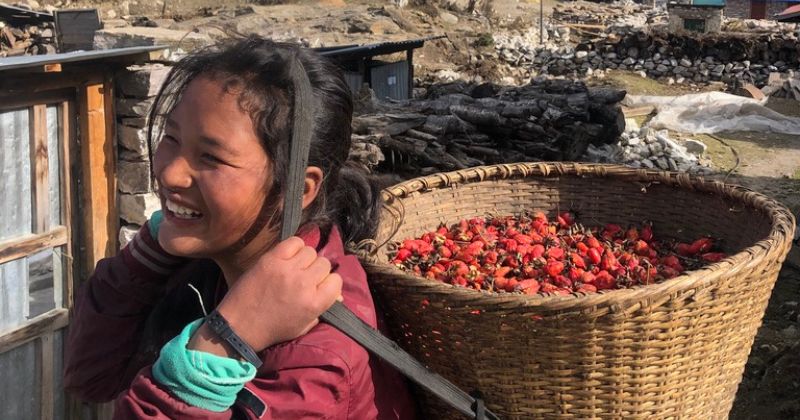 pema-chodron-charitable-projects-help2