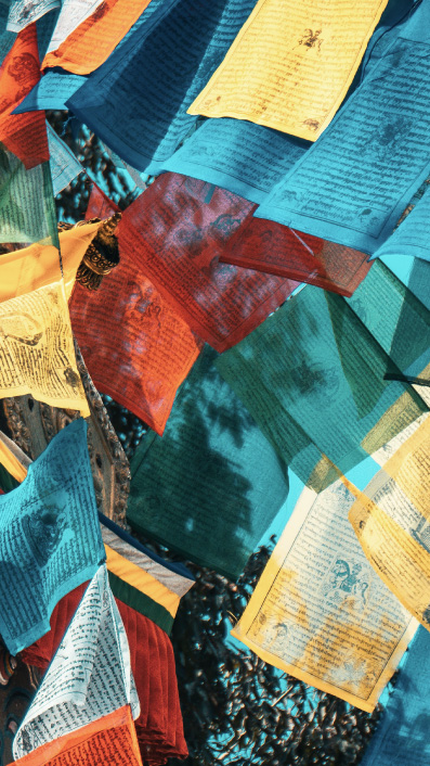 pema-chodron-upcoming-events-2